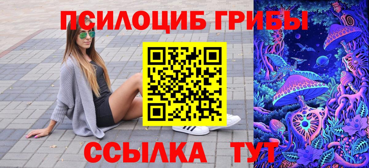 Псилоцибиновые грибы Psilocybine cubensis  Вход с VPN  Геленджик 