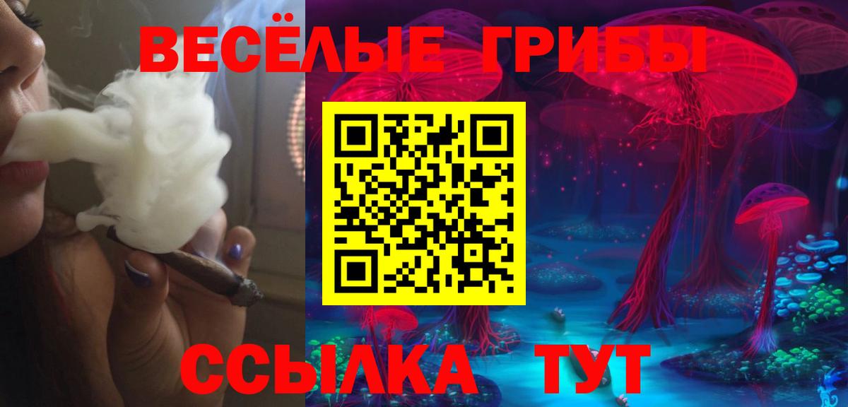 Галлюциногенные грибы MAGIC MUSHROOMS Геленджик